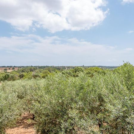 Finca Ses Oliveres By Mallorca House Rent Βίλα Son Carrio  Εξωτερικό φωτογραφία