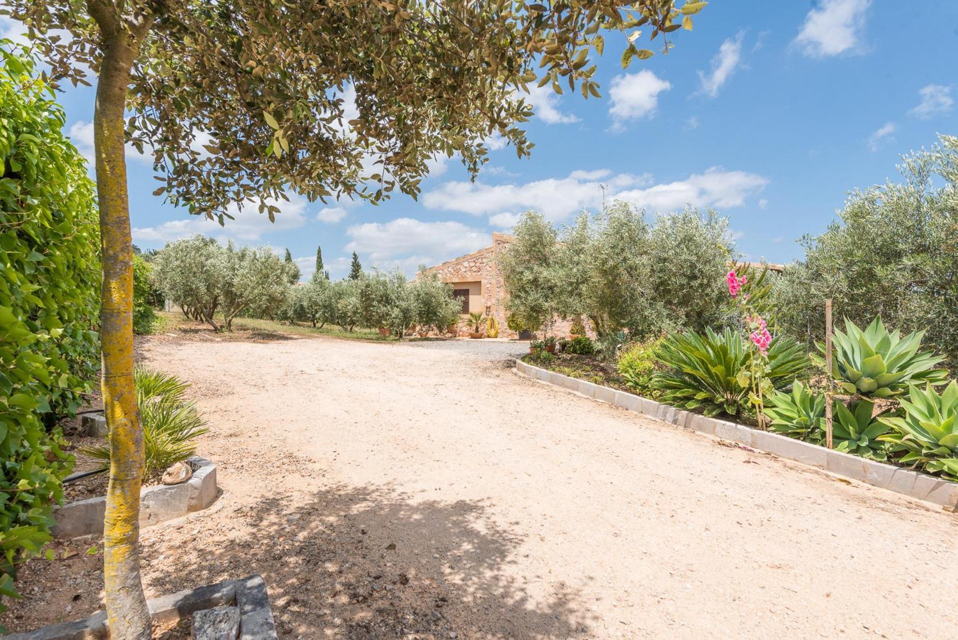 Finca Ses Oliveres By Mallorca House Rent Βίλα Son Carrio  Εξωτερικό φωτογραφία