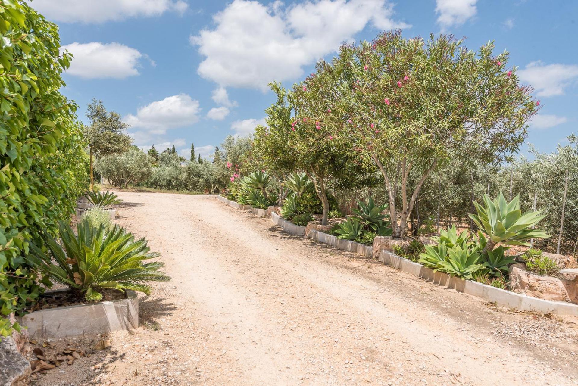 Finca Ses Oliveres By Mallorca House Rent Βίλα Son Carrio  Εξωτερικό φωτογραφία